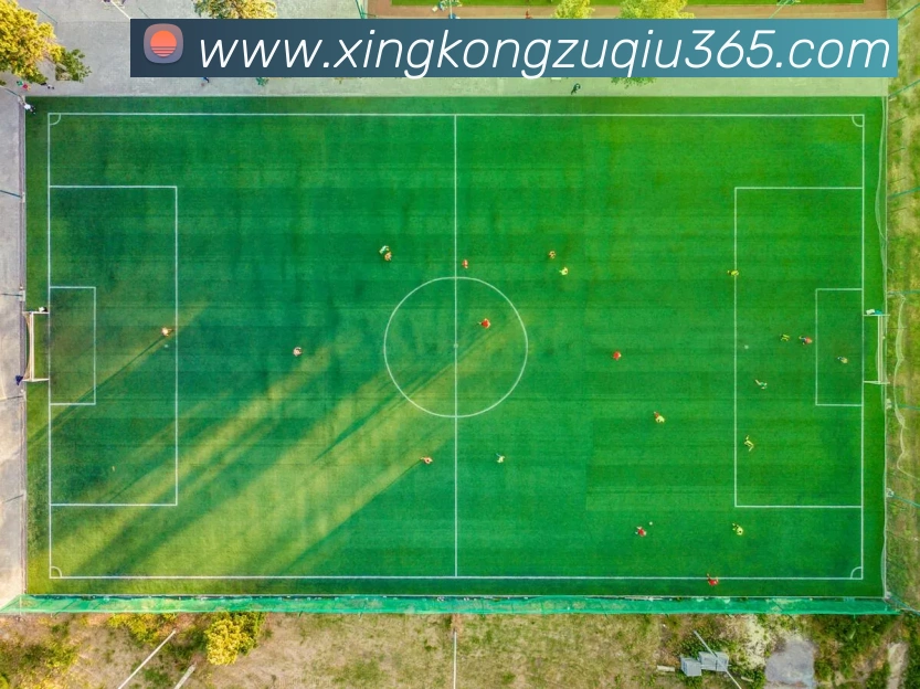 多媒体互动体验